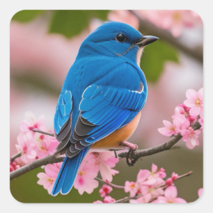 Adesivo Quadrado Primavera Bluebird
