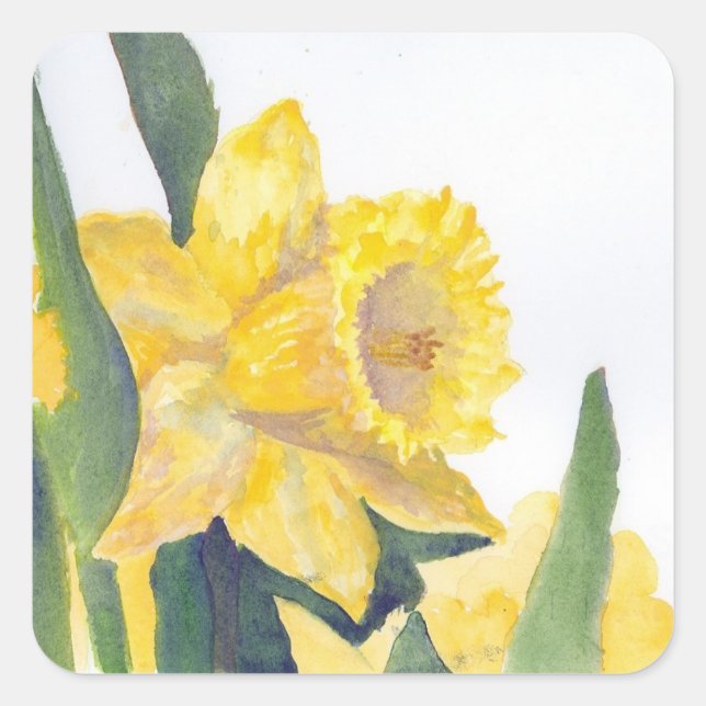 Adesivo Quadrado Primavera Daffodils (Frente)
