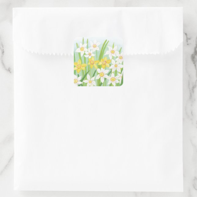 Adesivo Quadrado Primavera Daffodils (Bolsa)