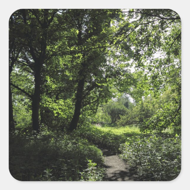 Adesivo Quadrado Primavera no bosque 03 (Frente)