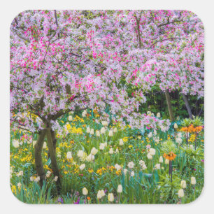 Adesivo Quadrado Primavera no jardim de Claude Monet