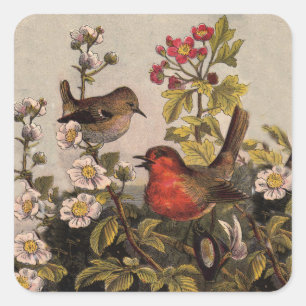 Adesivo Quadrado Primavera Robin Birds Red Birds