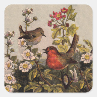 Adesivo Quadrado Primavera Robin Birds Red Birds