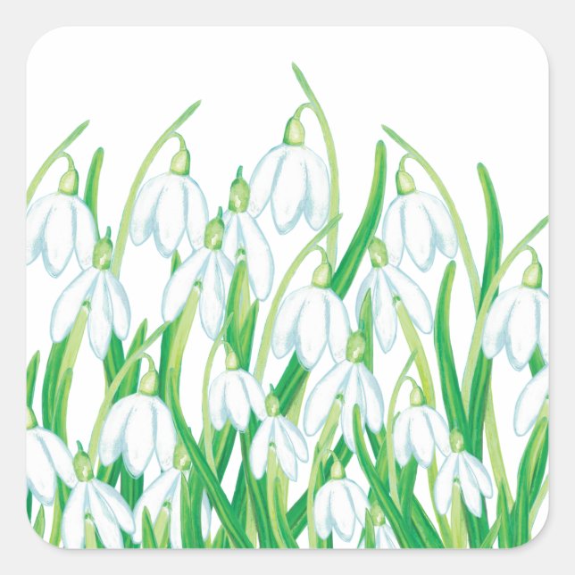 Adesivo Quadrado Primavera Snowdrops (Frente)