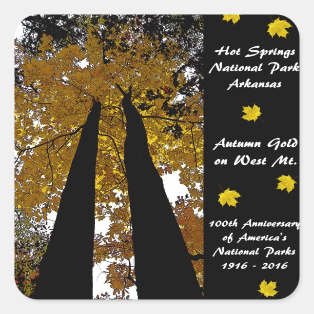 Adesivo Quadrado Primaveras Quentes do National Park Centennial Dou (Frente)