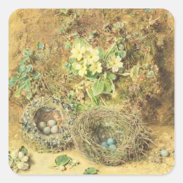 Adesivo Quadrado Primroses e Ninhos de Aves (Frente)