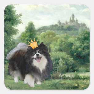 Adesivo Quadrado Príncipe Pomerânia Preto