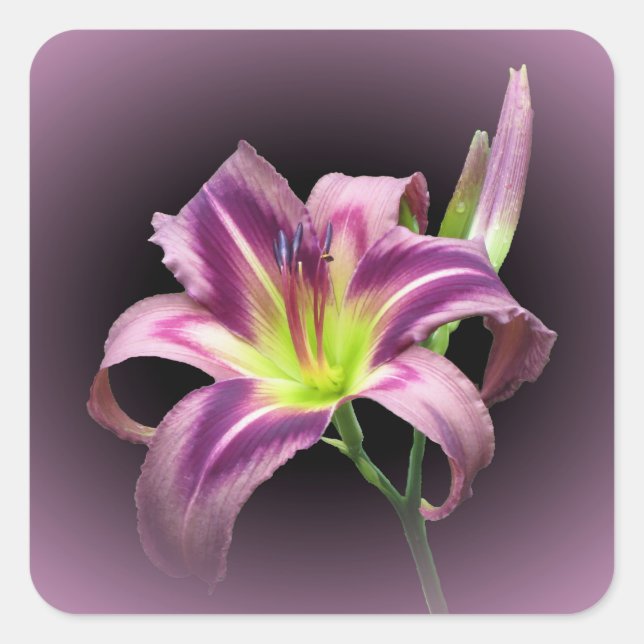 Adesivo Quadrado Procura de Starman - Sticker Quadrado Diurno (Frente)