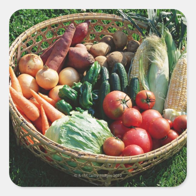 Adesivo Quadrado Produtos hortícolas 5 (Frente)