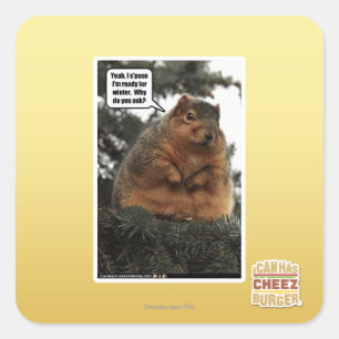 Adesivo Quadrado Pronto para o inverno