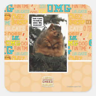 Adesivo Quadrado Pronto para o inverno