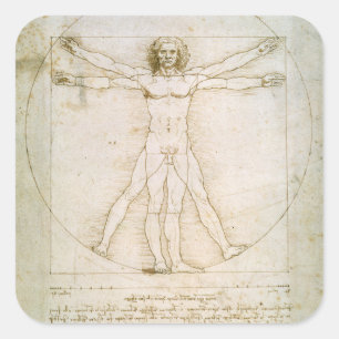 Adesivo Quadrado Proporções do número humano