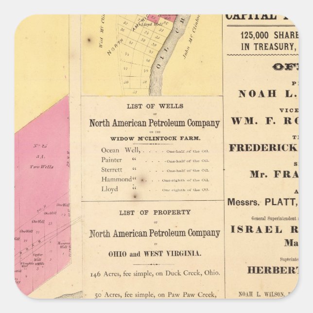 Adesivo Quadrado Propriedade Cherry Run (Frente)