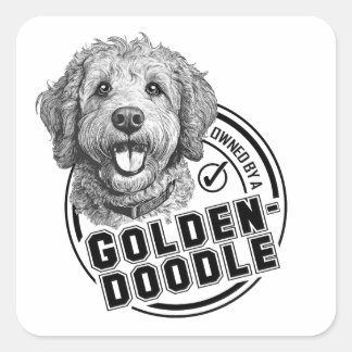 Adesivo Quadrado Propriedade de um Goldendoodle