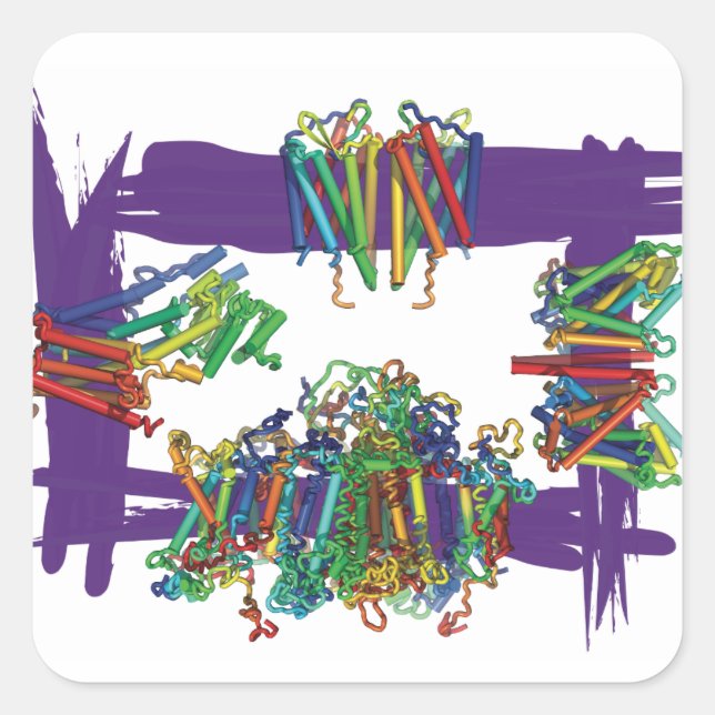 Adesivo Quadrado Proteínas De Membrana Através De Vinhetas De Caixa (Frente)