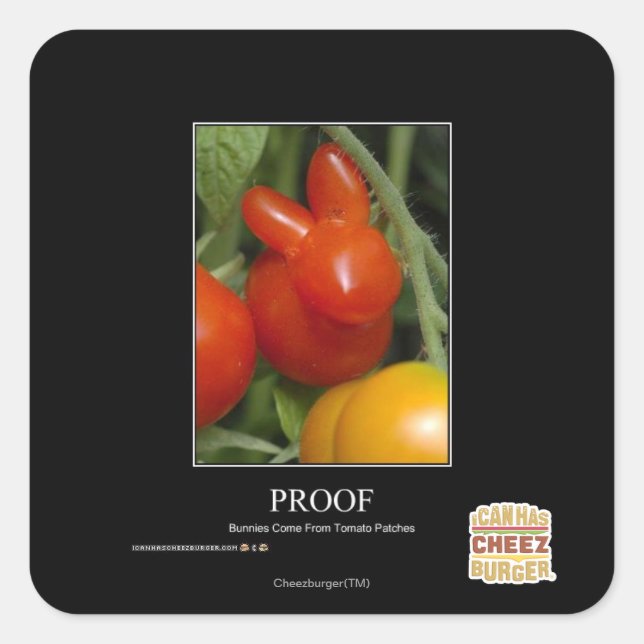 Adesivo Quadrado Prova (Frente)