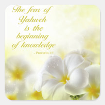 Provérbios 1:7 | Bíblia Versa Cotação