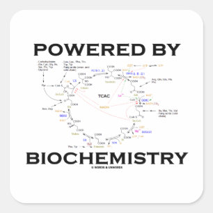Adesivo Quadrado Psto pela bioquímica (ciclo de Krebs)