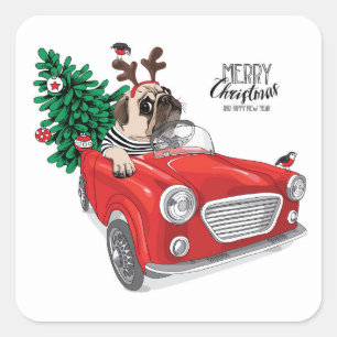 Adesivo Quadrado Pug do Feliz Natal que conduz o carro vintage