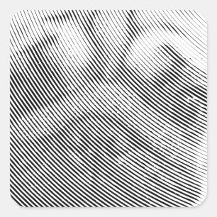 Adesivo Quadrado Pug Face