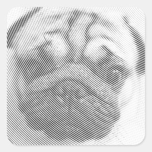 Adesivo Quadrado Pug Face