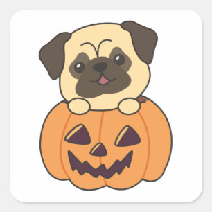 Adesivo Quadrado Pug In Pumpkin Sweet Dogs Happy Halloween