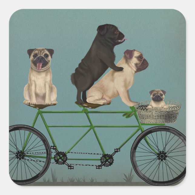 Adesivo Quadrado Pug Tandem (Frente)