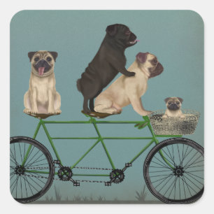 Adesivo Quadrado Pug Tandem