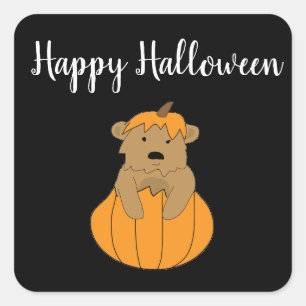 Adesivo Quadrado Pumpkin Bear Stickers