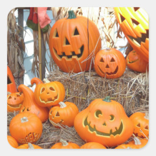 Adesivo Quadrado Pumpkin halloween jack ou lanterna - abóboras lara