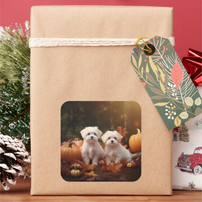 Adesivo Quadrado Pumpkin Maltês de Delight Autumn (Feriado)