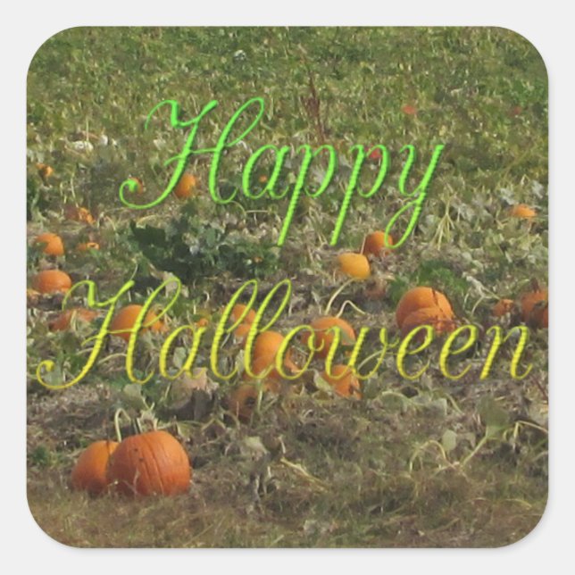 Adesivo Quadrado Pumpkin Patch Fall Autumn Halloween Stickers (Frente)