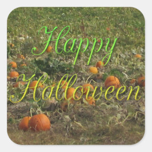 Adesivo Quadrado Pumpkin Patch Fall Autumn Halloween Stickers