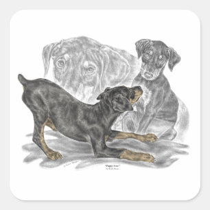 Adesivo Quadrado Puppies Doberman Pinscher Jogados