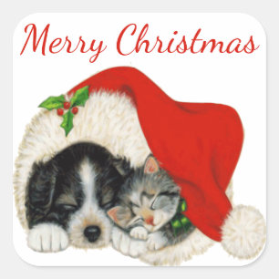 Adesivo Quadrado Puppy e Kitten Merry Christmas Sticker