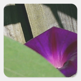 Adesivo Quadrado Purple Floral