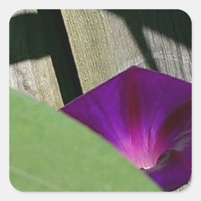 Adesivo Quadrado Purple Floral (Frente)