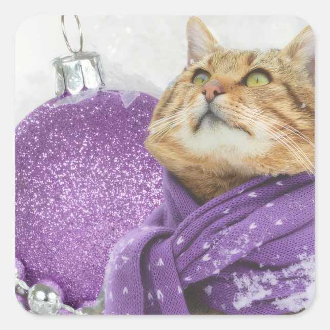 Adesivo Quadrado Purple Scarf Winter Cat Stickers (Frente)
