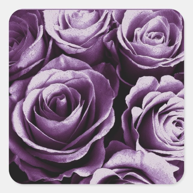 Adesivo Quadrado Púrpura Rose Bouquet Rosa Square Sticker (Frente)