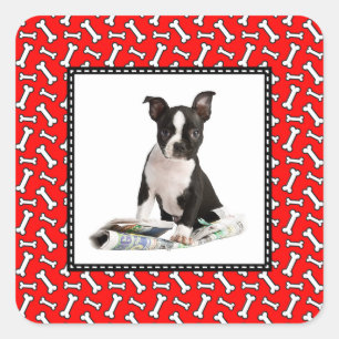 Adesivo Quadrado Quadro vermelho da foto do Natal do osso de cão