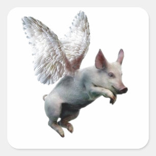 Adesivo Quadrado Quando os porcos voarem