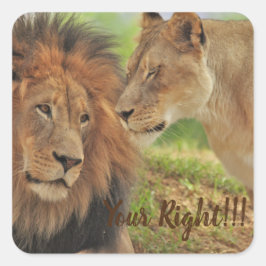 Adesivo Quadrado quando você sabe que ele tem razão