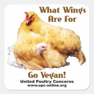 Adesivo Quadrado Que asas seja para - vai o Vegan