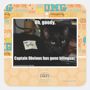 Adesivo Quadrado Que bom.