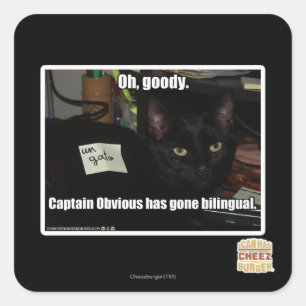 Adesivo Quadrado Que bom.