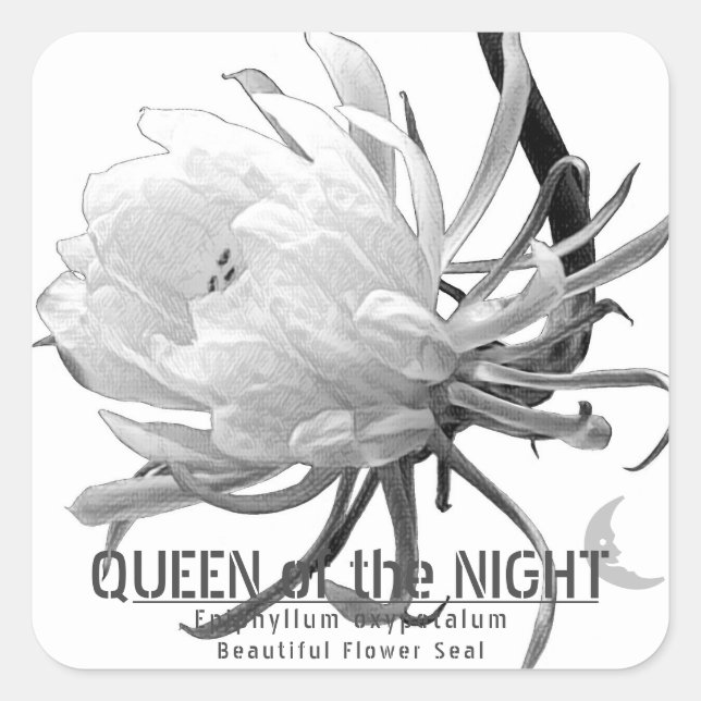 Adesivo Quadrado Queen of the Night スクエアシール (Frente)