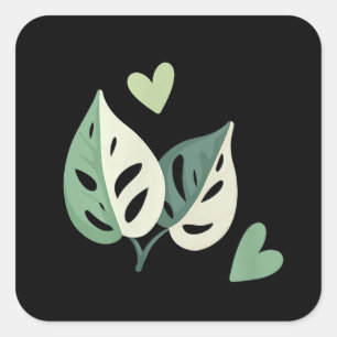 Adesivo Quadrado Queijo suíço Monstera Adansonii Variegado Cute