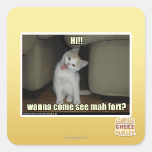 Adesivo Quadrado Quer ir ver mah fort?