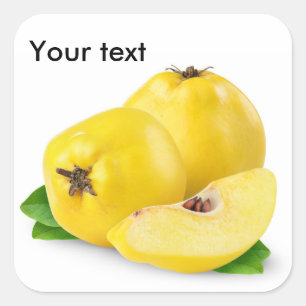 Adesivo Quadrado Quince fruta