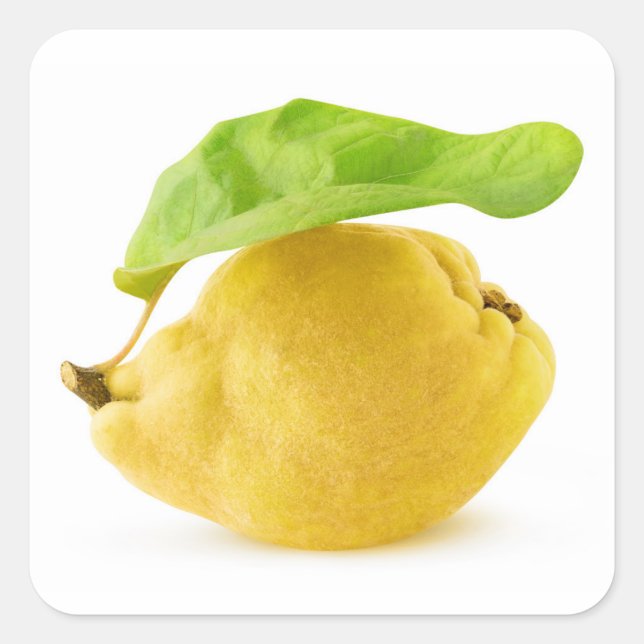 Adesivo Quadrado Quince fruta (Frente)